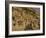 Village of Banani, Sanga (Sangha) Region, Bandiagara Escarpment, Dogon Region, Mali, Africa-Bruno Morandi-Framed Photographic Print