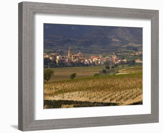 Village of Brinas surrounded by Vineyards, La Rioja Region, Spain-Janis Miglavs-Framed Photographic Print