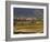 Village of Brinas surrounded by Vineyards, La Rioja Region, Spain-Janis Miglavs-Framed Photographic Print