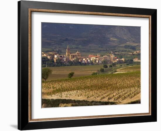 Village of Brinas surrounded by Vineyards, La Rioja Region, Spain-Janis Miglavs-Framed Photographic Print