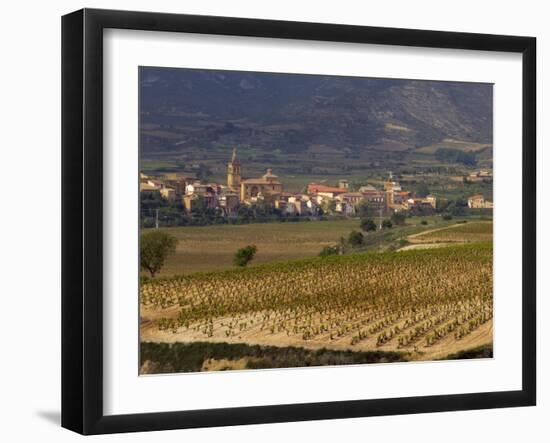 Village of Brinas surrounded by Vineyards, La Rioja Region, Spain-Janis Miglavs-Framed Photographic Print