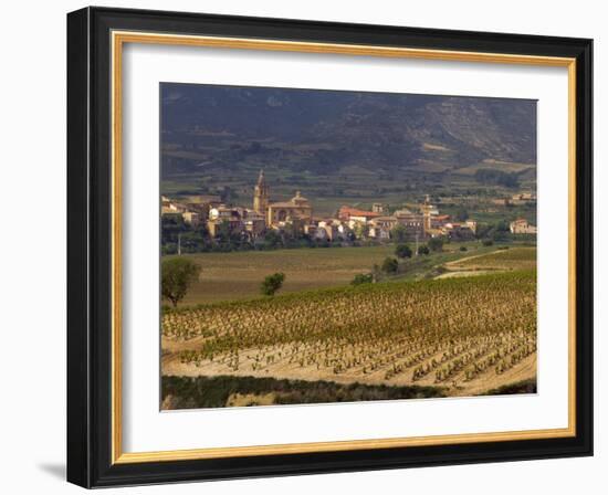 Village of Brinas surrounded by Vineyards, La Rioja Region, Spain-Janis Miglavs-Framed Photographic Print