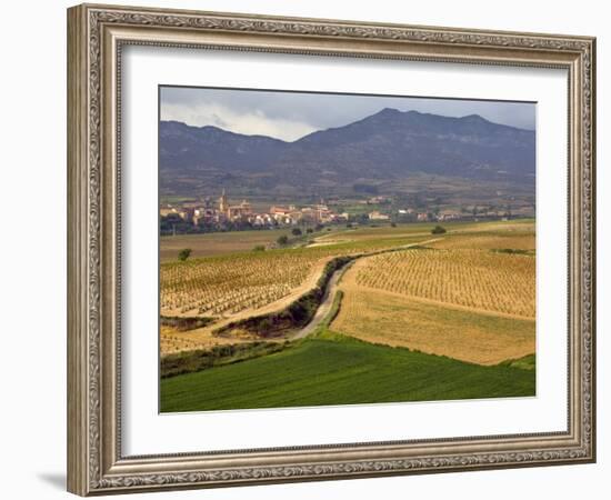 Village of Brinas surrounded by Vineyards, La Rioja Region, Spain-Janis Miglavs-Framed Photographic Print