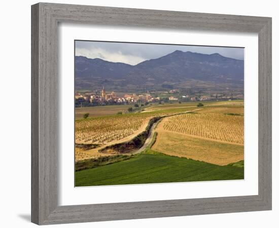 Village of Brinas surrounded by Vineyards, La Rioja Region, Spain-Janis Miglavs-Framed Photographic Print