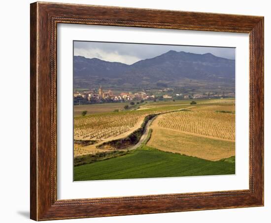 Village of Brinas surrounded by Vineyards, La Rioja Region, Spain-Janis Miglavs-Framed Photographic Print