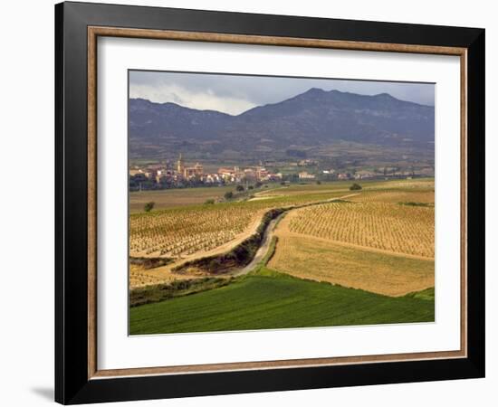 Village of Brinas surrounded by Vineyards, La Rioja Region, Spain-Janis Miglavs-Framed Photographic Print