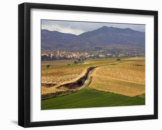 Village of Brinas surrounded by Vineyards, La Rioja Region, Spain-Janis Miglavs-Framed Photographic Print