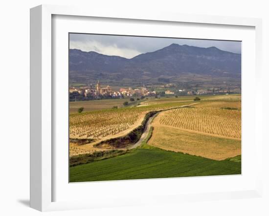 Village of Brinas surrounded by Vineyards, La Rioja Region, Spain-Janis Miglavs-Framed Photographic Print