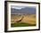 Village of Brinas surrounded by Vineyards, La Rioja Region, Spain-Janis Miglavs-Framed Photographic Print