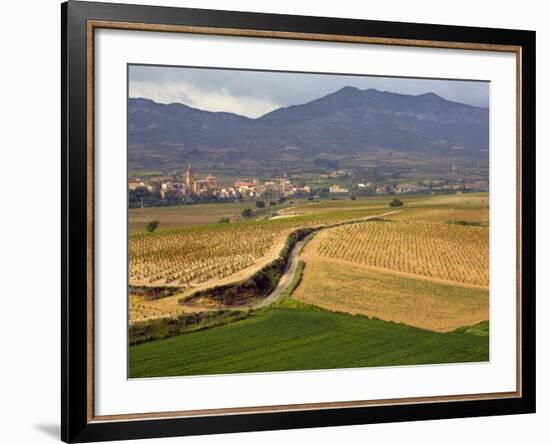 Village of Brinas surrounded by Vineyards, La Rioja Region, Spain-Janis Miglavs-Framed Photographic Print