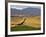 Village of Brinas surrounded by Vineyards, La Rioja Region, Spain-Janis Miglavs-Framed Photographic Print