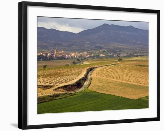 Village of Brinas surrounded by Vineyards, La Rioja Region, Spain-Janis Miglavs-Framed Photographic Print