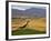 Village of Brinas surrounded by Vineyards, La Rioja Region, Spain-Janis Miglavs-Framed Photographic Print