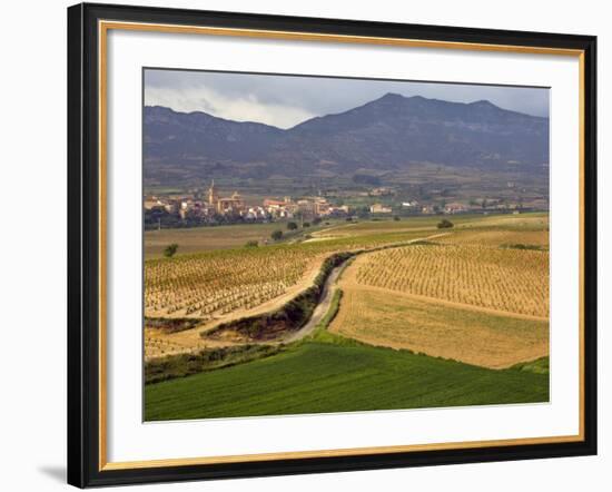 Village of Brinas surrounded by Vineyards, La Rioja Region, Spain-Janis Miglavs-Framed Photographic Print