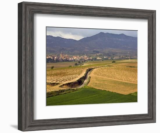 Village of Brinas surrounded by Vineyards, La Rioja Region, Spain-Janis Miglavs-Framed Photographic Print