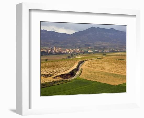 Village of Brinas surrounded by Vineyards, La Rioja Region, Spain-Janis Miglavs-Framed Photographic Print