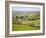 Village of Burnsall in Wharfedale, Yorkshire Dales, Yorkshire, England, United Kingdom, Europe-Mark Sunderland-Framed Photographic Print