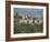 Village of Macchia, Valfortore, Campobasso, Molise, Italy-Sheila Terry-Framed Photographic Print