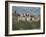 Village of Macchia, Valfortore, Campobasso, Molise, Italy-Sheila Terry-Framed Photographic Print