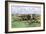 Village of New Boston, New Hampshire, in the 1800s-null-Framed Giclee Print