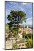 Village of Poggio on the hills of Monte Capanne, Marciana, Elba Island, Livorno Province, Tuscany, -Roberto Moiola-Mounted Photographic Print