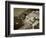 Village of Positano, Amalfi Coast, Campania, Italy-Steve Vidler-Framed Photographic Print