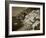 Village of Positano, Amalfi Coast, Campania, Italy-Steve Vidler-Framed Photographic Print