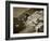 Village of Positano, Amalfi Coast, Campania, Italy-Steve Vidler-Framed Photographic Print