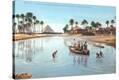 Stretched Canvas Print