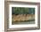 Village on the Bank of the Hooghly River, Part of the Ganges River, West Bengal, India, Asia-Bruno Morandi-Framed Photographic Print