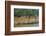 Village on the Bank of the Hooghly River, Part of the Ganges River, West Bengal, India, Asia-Bruno Morandi-Framed Photographic Print