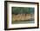 Village on the Bank of the Hooghly River, Part of the Ganges River, West Bengal, India, Asia-Bruno Morandi-Framed Photographic Print