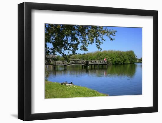 Village Pond in Wenningstedt (Municipality) on the Island of Sylt-Uwe Steffens-Framed Photographic Print