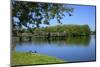 Village Pond in Wenningstedt (Municipality) on the Island of Sylt-Uwe Steffens-Mounted Photographic Print