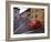 Village Roadway and Car, Sighishoara, Romania-Gavriel Jecan-Framed Photographic Print