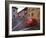 Village Roadway and Car, Sighishoara, Romania-Gavriel Jecan-Framed Photographic Print