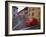 Village Roadway and Car, Sighishoara, Romania-Gavriel Jecan-Framed Photographic Print