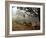 Village Scene, Vaishali, India-James Gritz-Framed Photographic Print