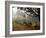 Village Scene, Vaishali, India-James Gritz-Framed Photographic Print