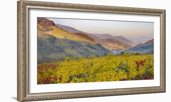 Village Spitz Nested in the Vineyards of the Wachau. Austria-Martin Zwick-Framed Photographic Print