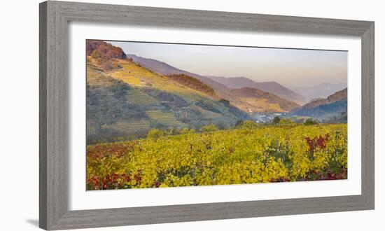 Village Spitz Nested in the Vineyards of the Wachau. Austria-Martin Zwick-Framed Photographic Print