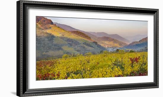 Village Spitz Nested in the Vineyards of the Wachau. Austria-Martin Zwick-Framed Photographic Print