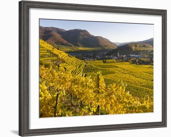 Village Spitz Nested in the Vineyards of the Wachau. Austria-Martin Zwick-Framed Photographic Print