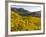 Village Spitz Nested in the Vineyards of the Wachau. Austria-Martin Zwick-Framed Photographic Print