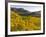 Village Spitz Nested in the Vineyards of the Wachau. Austria-Martin Zwick-Framed Photographic Print