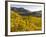 Village Spitz Nested in the Vineyards of the Wachau. Austria-Martin Zwick-Framed Photographic Print