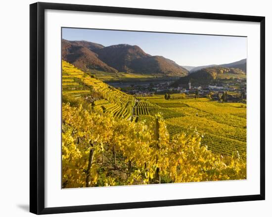 Village Spitz Nested in the Vineyards of the Wachau. Austria-Martin Zwick-Framed Photographic Print