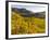 Village Spitz Nested in the Vineyards of the Wachau. Austria-Martin Zwick-Framed Photographic Print