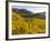 Village Spitz Nested in the Vineyards of the Wachau. Austria-Martin Zwick-Framed Photographic Print