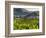 Village Spitz Nested in the Vineyards of the Wachau. Austria-Martin Zwick-Framed Photographic Print